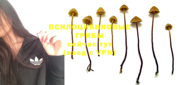 ГАЛЛЮЦИНОГЕННЫЕ ГРИБЫ Армянск