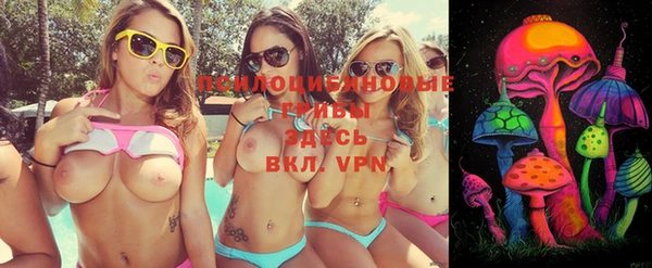 ГАЛЛЮЦИНОГЕННЫЕ ГРИБЫ Армянск
