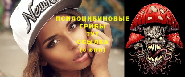 ГАЛЛЮЦИНОГЕННЫЕ ГРИБЫ Армянск