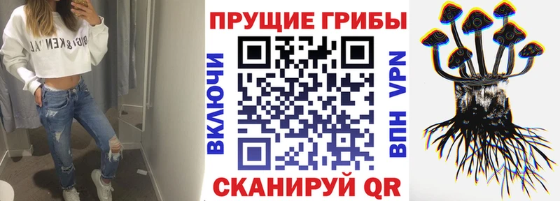 Псилоцибиновые грибы Magic Shrooms  купить наркотик  MEGA tor  Приморско-Ахтарск 